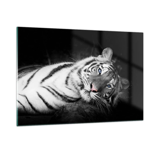 Impression sur verre - Image sur verre - Un tigre blanc aux yeux bleus dans un décor noir et blanc - 120x80cm - Sauvagerie et paix - Décoration murale moderne pour le salon et la chambre ARTTOR