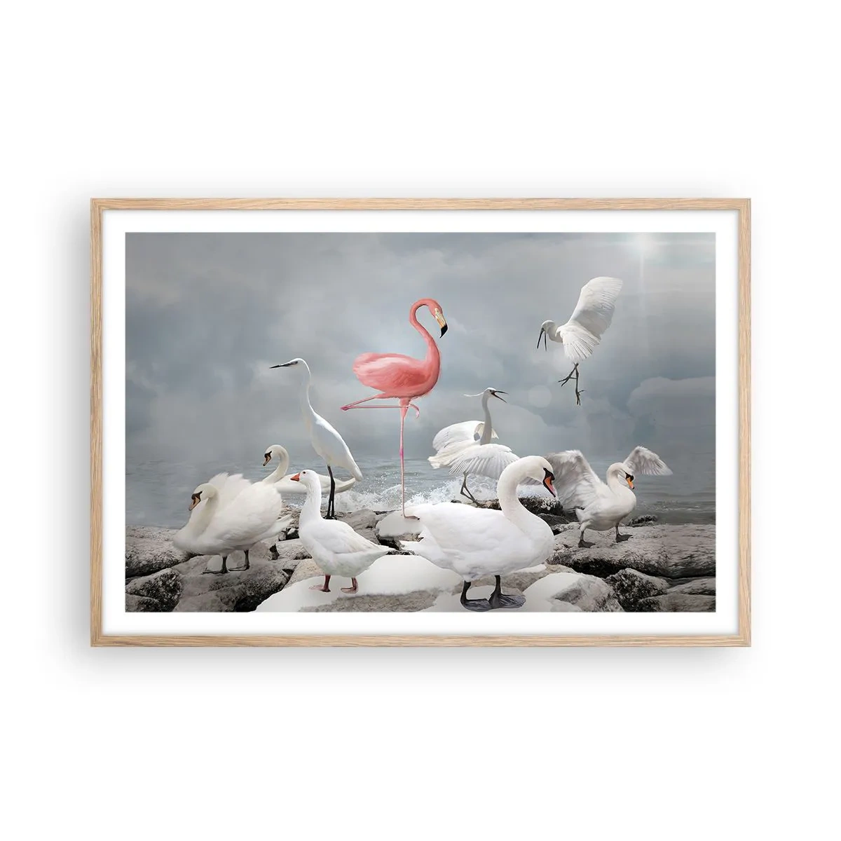 Affiche dans un chêne clair - Poster - Comment suis-je arrivé là? - 91x61 cm