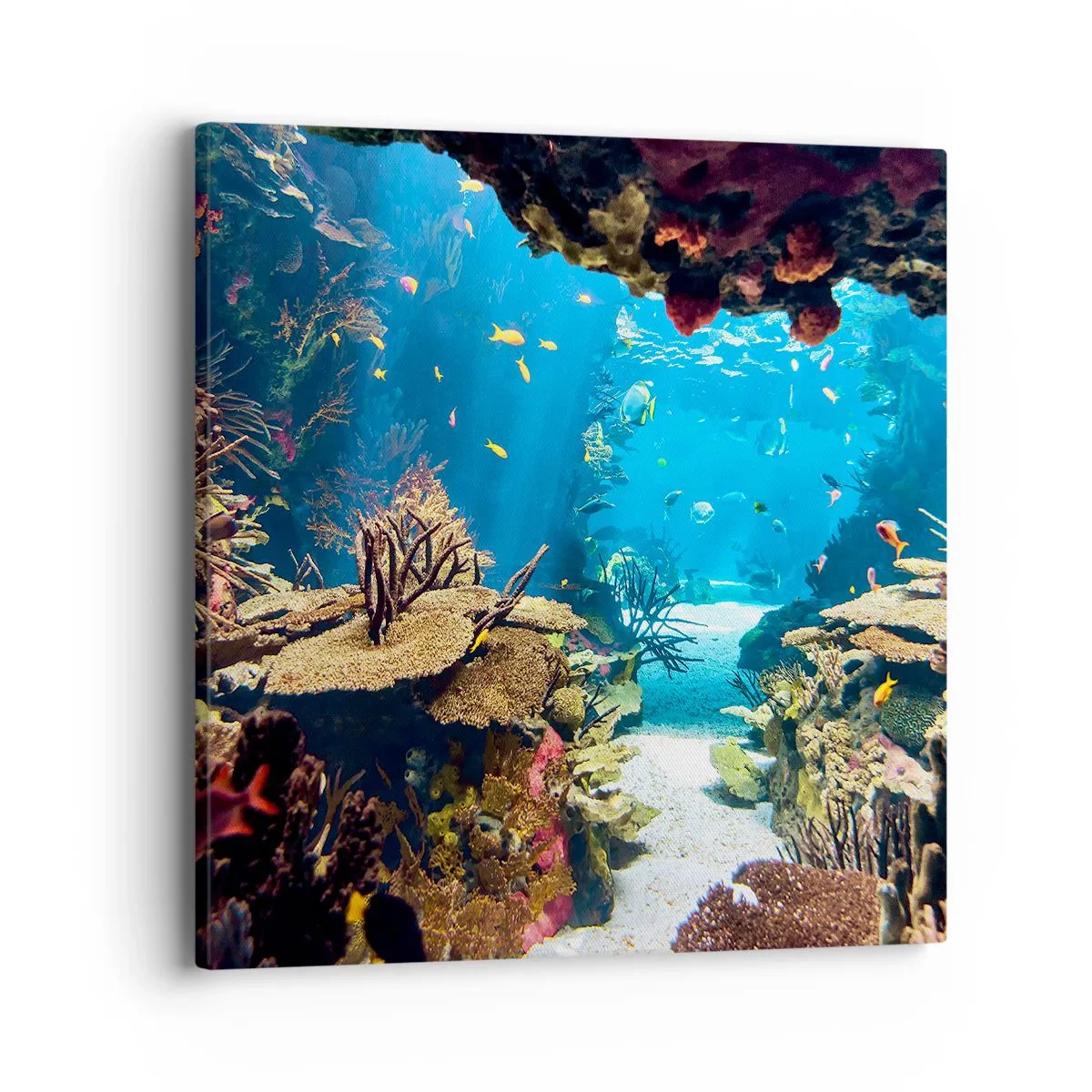 Impression sur toile - Image sur toile - Tu ne l'as même pas rêvé - 40x40 cm