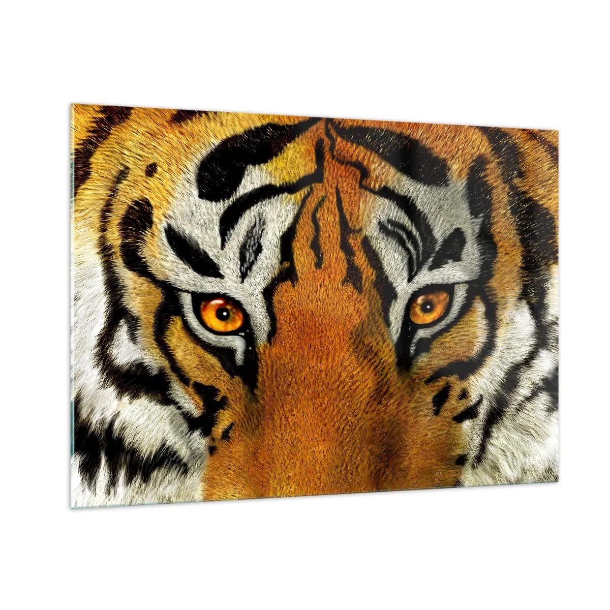 Impression sur verre - Image sur verre - Gros plan sur le regard intense du tigre - 100x70cm - Terrible et beau - Décoration murale moderne pour le salon et la chambre ARTTOR