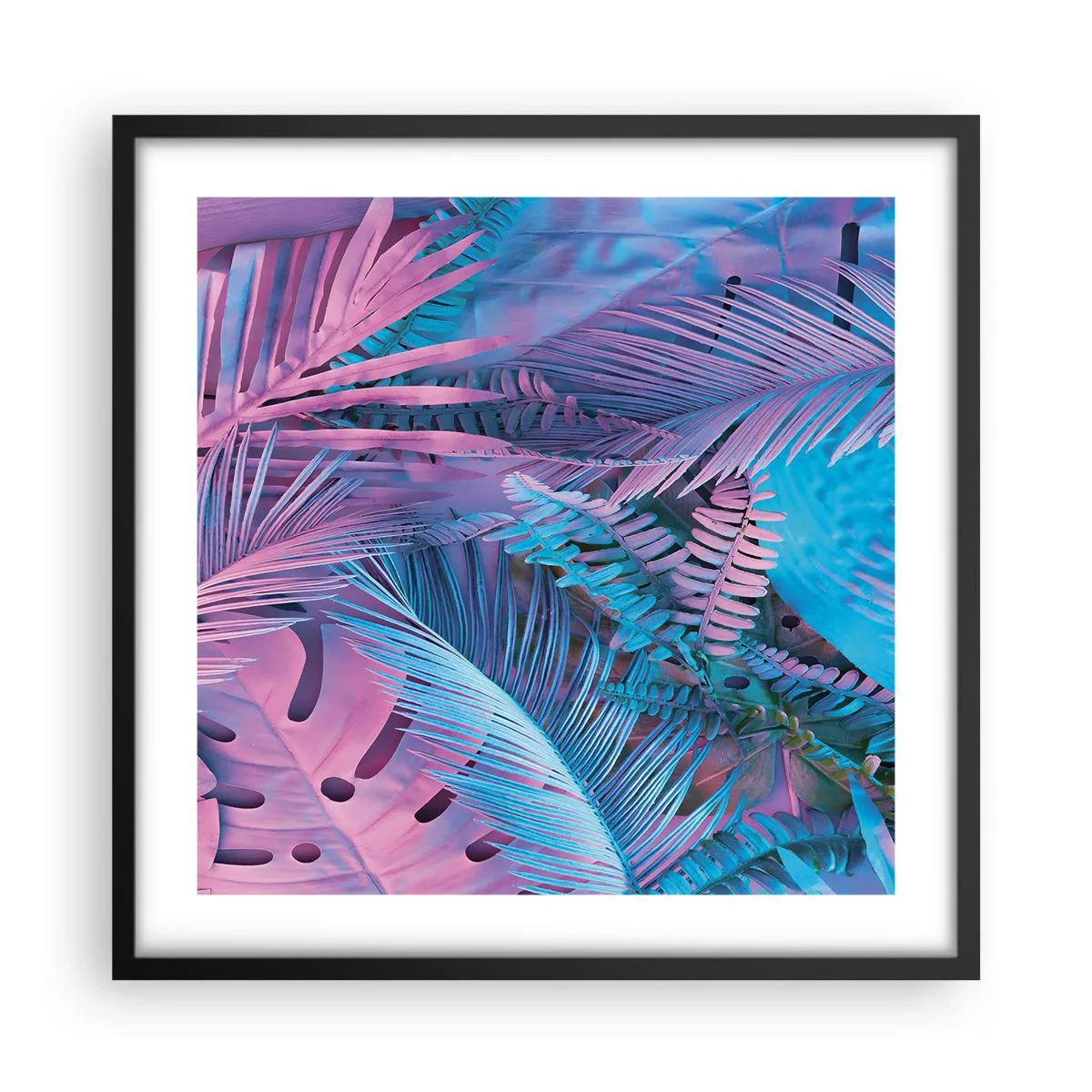 Affiche dans un cadre noir - Poster - Les tropiques en rose et bleu - 50x50 cm