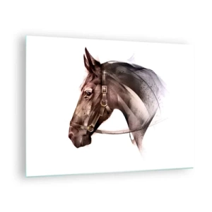 Impression sur verre - Image sur verre - Portrait de cheval de style artistique sur fond blanc - 70x50cm - Quelle grâce - Décoration murale moderne pour le salon et la chambre ARTTOR