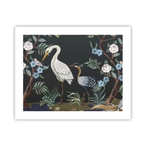 Affiche - Poster - Parade d'oiseaux - 50x40 cm