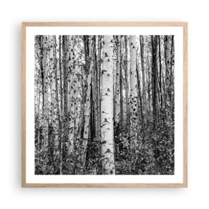 Affiche dans un chêne clair - Poster - Enchevêtrement de bouleau - 60x60 cm