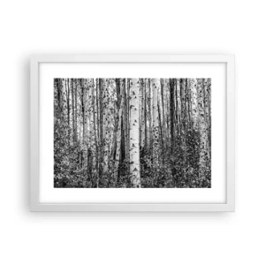 Affiche dans un cadre blanc - Poster - Enchevêtrement de bouleau - 40x30 cm