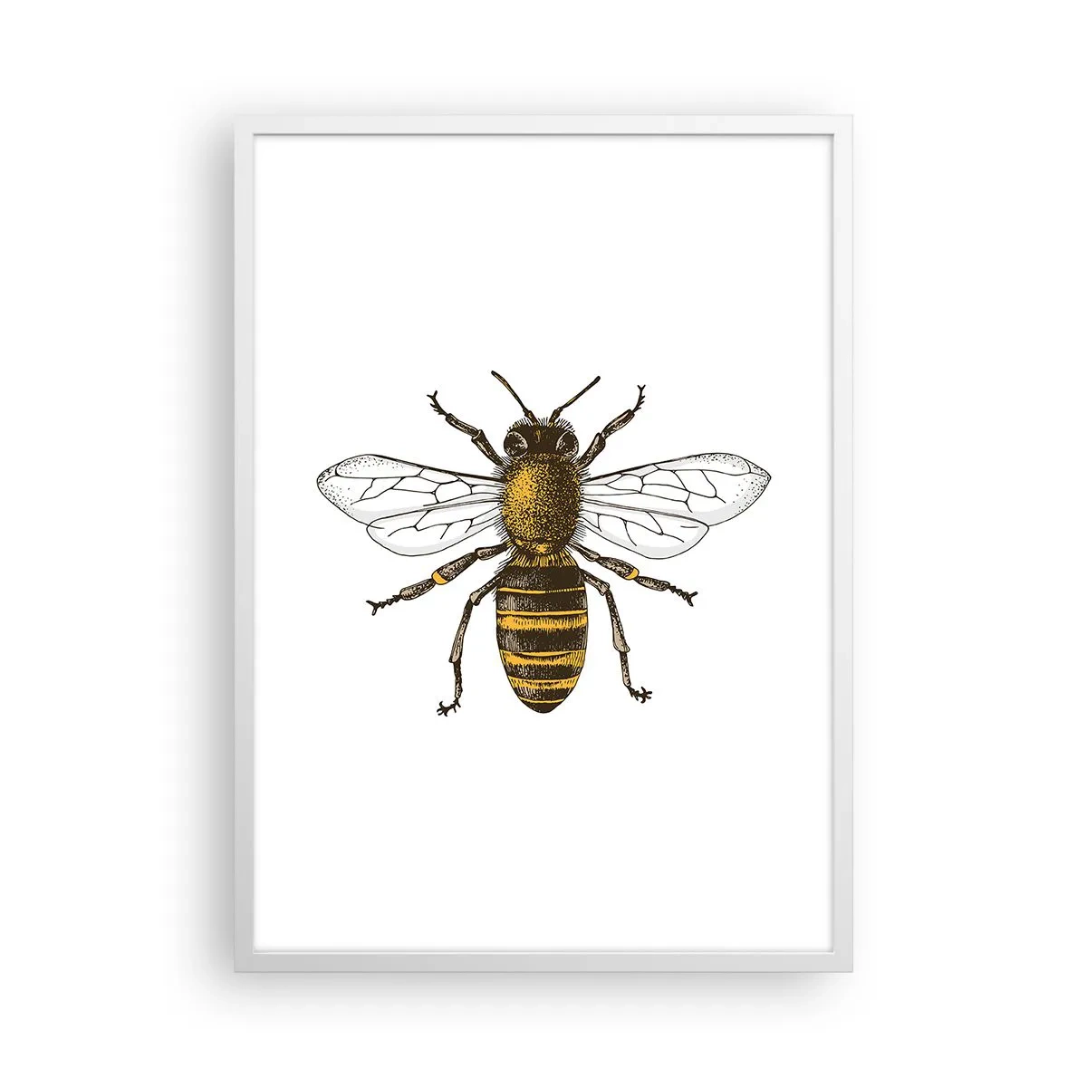 Affiche dans un cadre blanc - Poster - Belle et bonne - 50x70 cm