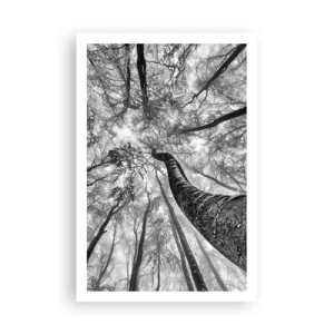 Affiche - Poster - Course vers la lumière - 61x91 cm