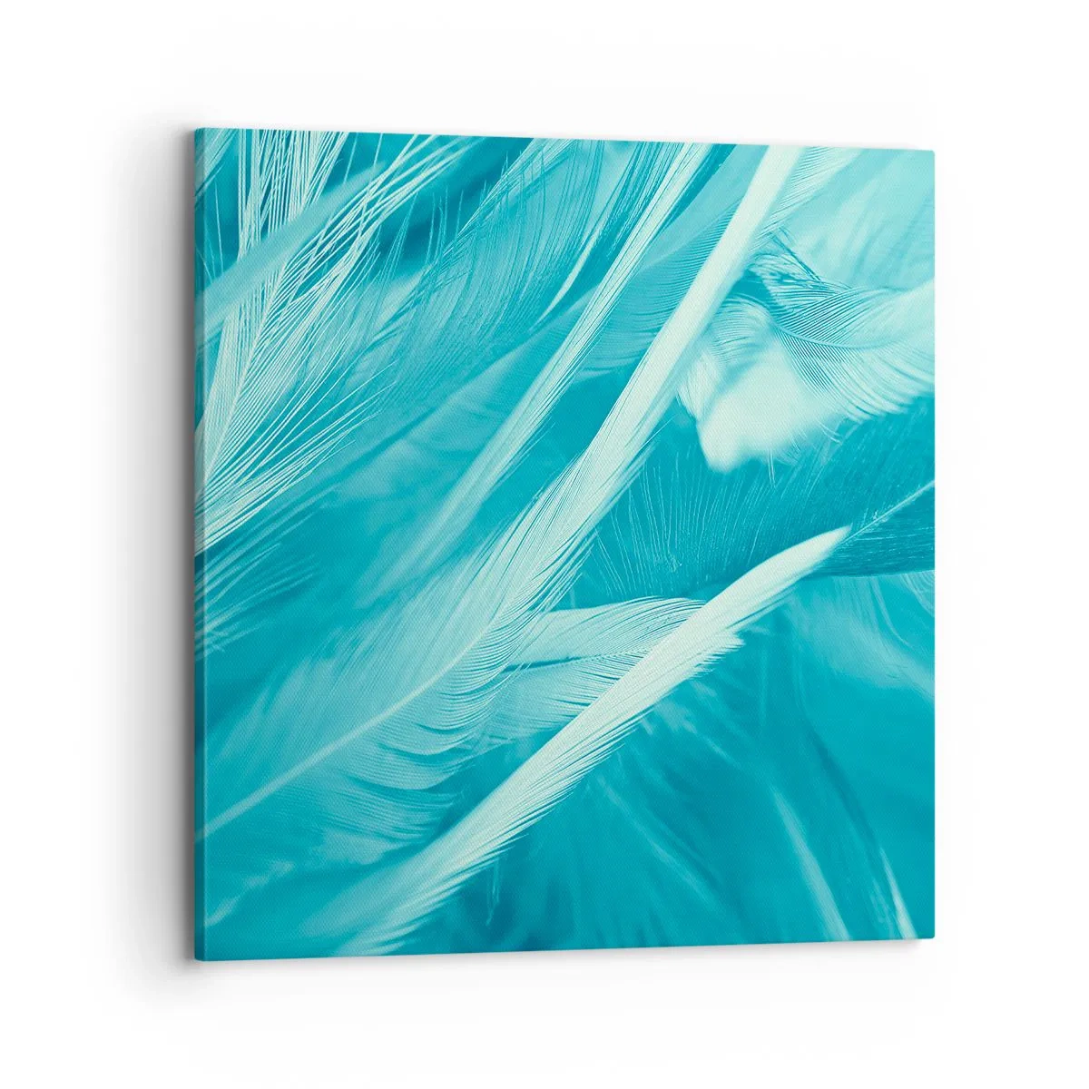 Impression sur toile - Image sur toile - Se noyer dans les plumes - 70x70 cm