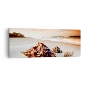 Impression sur toile - Image sur toile - Coquillages sur la plage au coucher du soleil - 140x50cm - Les parias des vagues - Décoration murale moderne pour le salon et la chambre ARTTOR