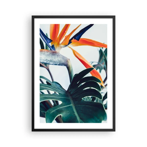 Affiche dans un cadre noir - Poster - Gros plan d'une fleur de strelitzia entourée de feuilles vertes - 50x70cm - Le buisson oiseaux - Décoration murale moderne pour le salon et la chambre ARTTOR