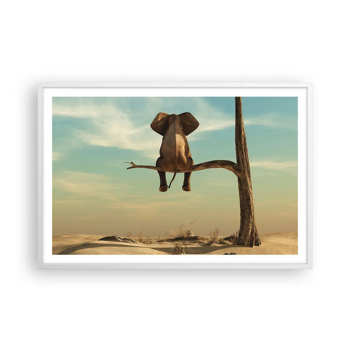 Affiche dans un cadre blanc - Poster - Nouveau point de vue - 91x61 cm