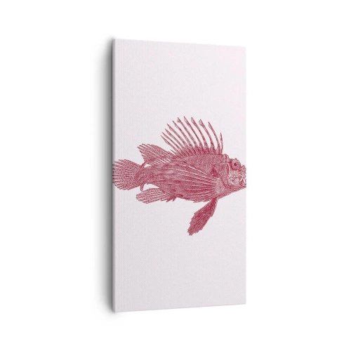 Impression sur toile - Image sur toile - Un habitant des eaux exotiques - 55x100 cm