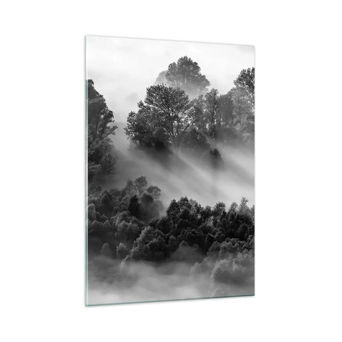 Impression sur verre - Image sur verre - Forêt brumeuse au soleil en noir et blanc - 50x70cm - Sortir de son sommeil - Décoration murale moderne pour le salon et la chambre ARTTOR
