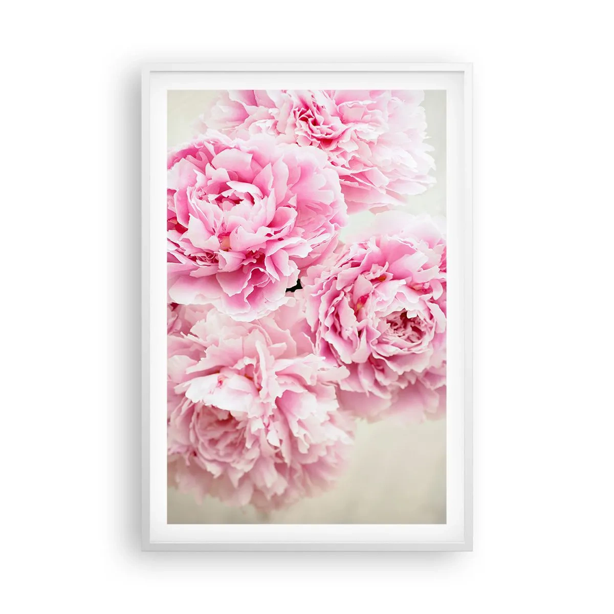 Affiche dans un cadre blanc - Poster - En glamour rose - 61x91 cm