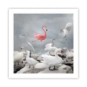 Affiche - Poster - Comment suis-je arrivé là? - 50x50 cm