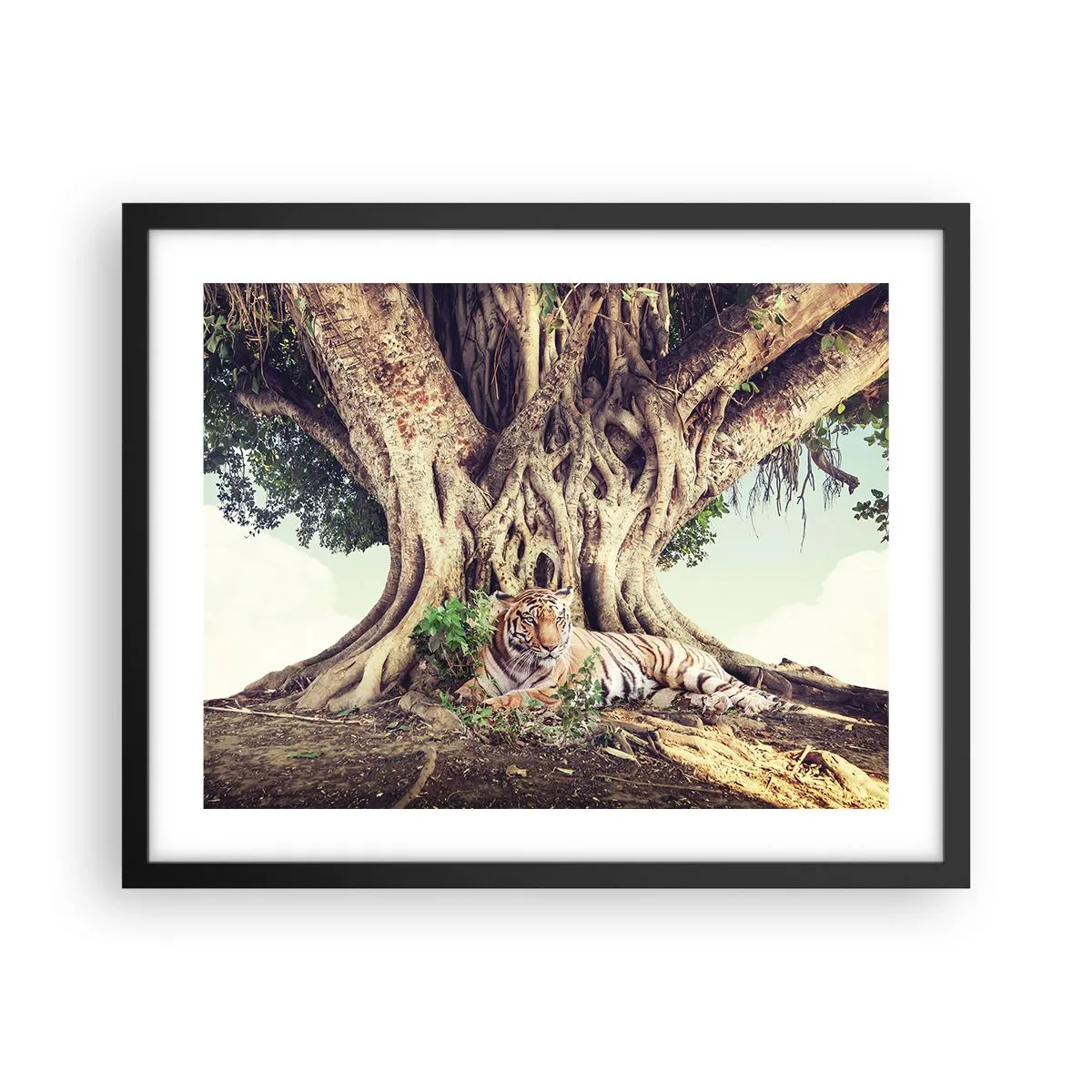 Affiche dans un cadre noir - Poster - Vue du Livre de la Genèse - 50x40 cm