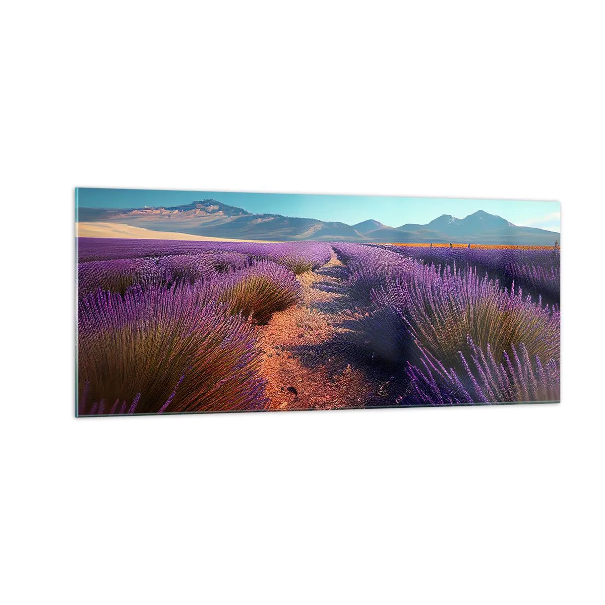 Impression sur verre - Image sur verre - Champs parfumés - 100x40 cm