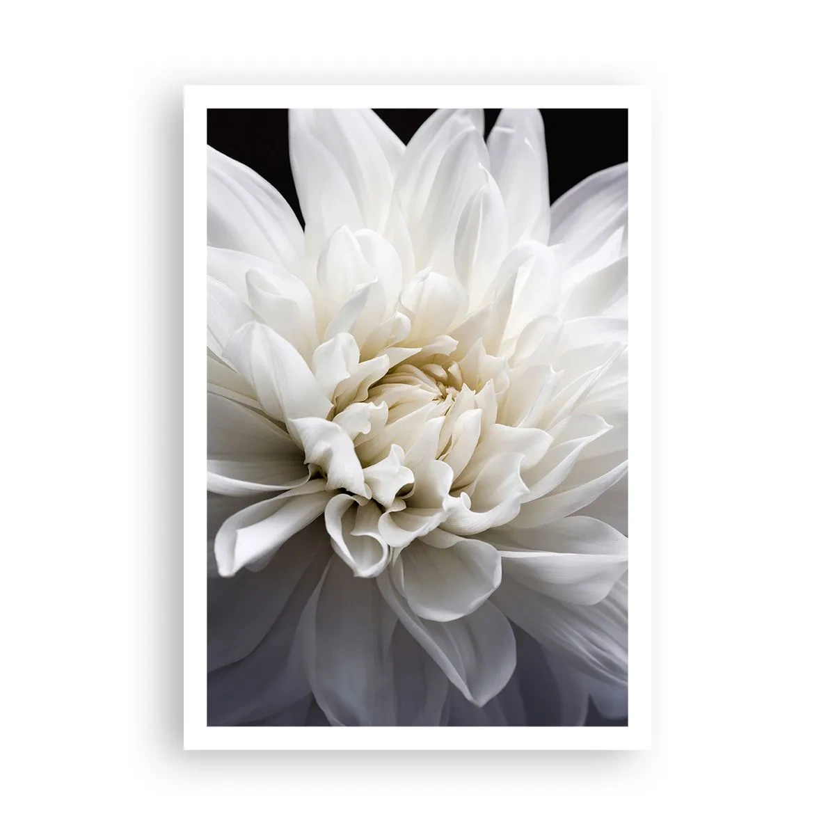 Affiche - Poster - Le matin de la jeune mariéé - 70x100 cm