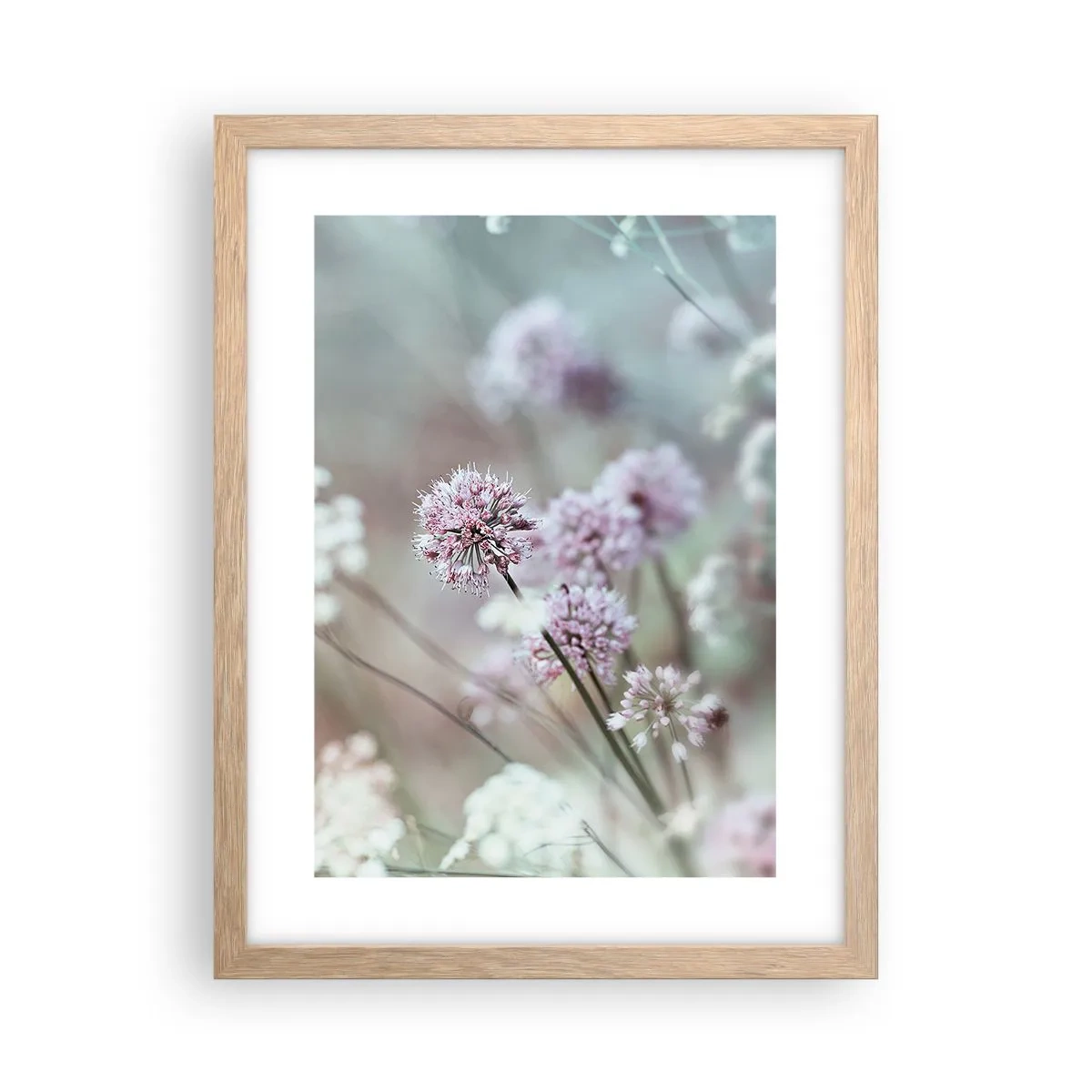 Affiche dans un chêne clair - Poster - Herbes douces en filigrane - 30x40 cm