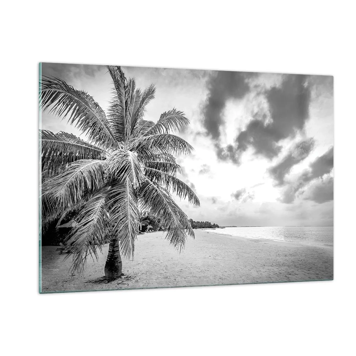 Impression sur verre - Image sur verre - Un palmier noir et blanc sur une plage déserte avec un ciel nuageux. - 120x80cm - Quand tu aspires à la solitude - Décoration murale moderne pour le salon et la chambre ARTTOR