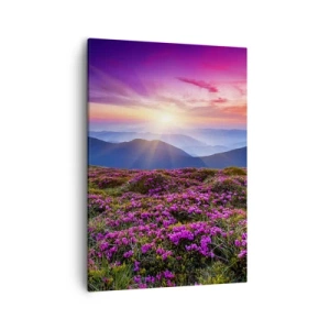 Impression sur toile - Image sur toile - Prairie de montagne avec des fleurs au coucher du soleil - 50x70cm - Les herbes sentaient les grappes fraîches de la récolte - Décoration murale moderne pour le salon et la chambre ARTTOR