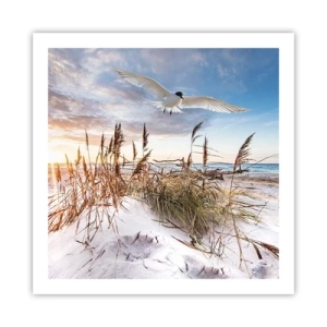 Affiche - Poster - Vent de mer - 60x60 cm