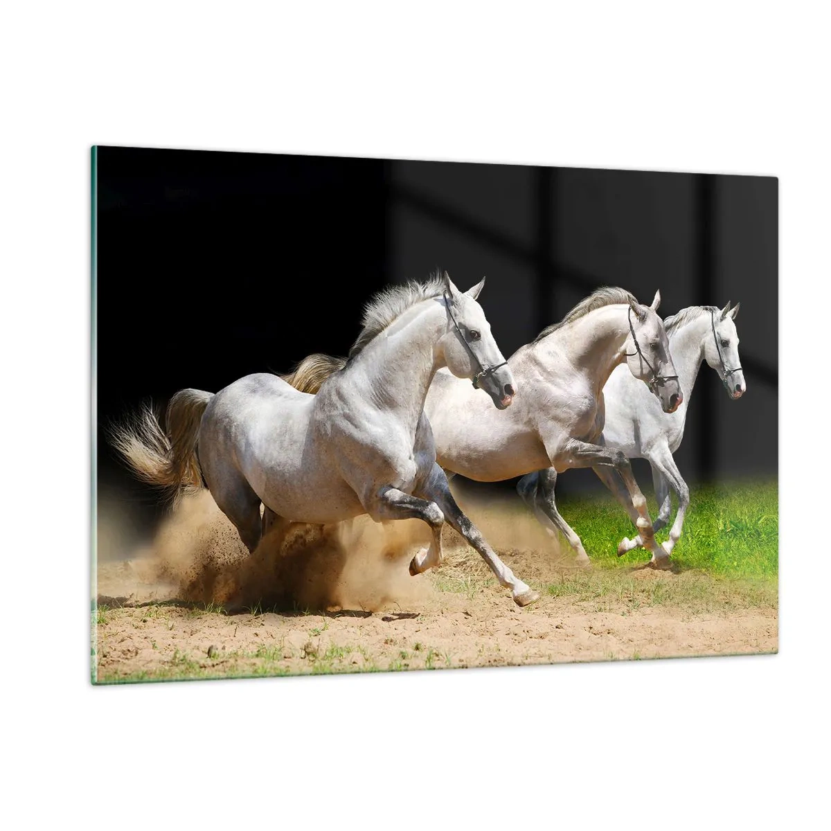 Impression sur verre - Image sur verre - Trois chevaux blancs galopant sur le sol sablonneux - 120x80cm - Trois Grâces - Décoration murale moderne pour le salon et la chambre ARTTOR