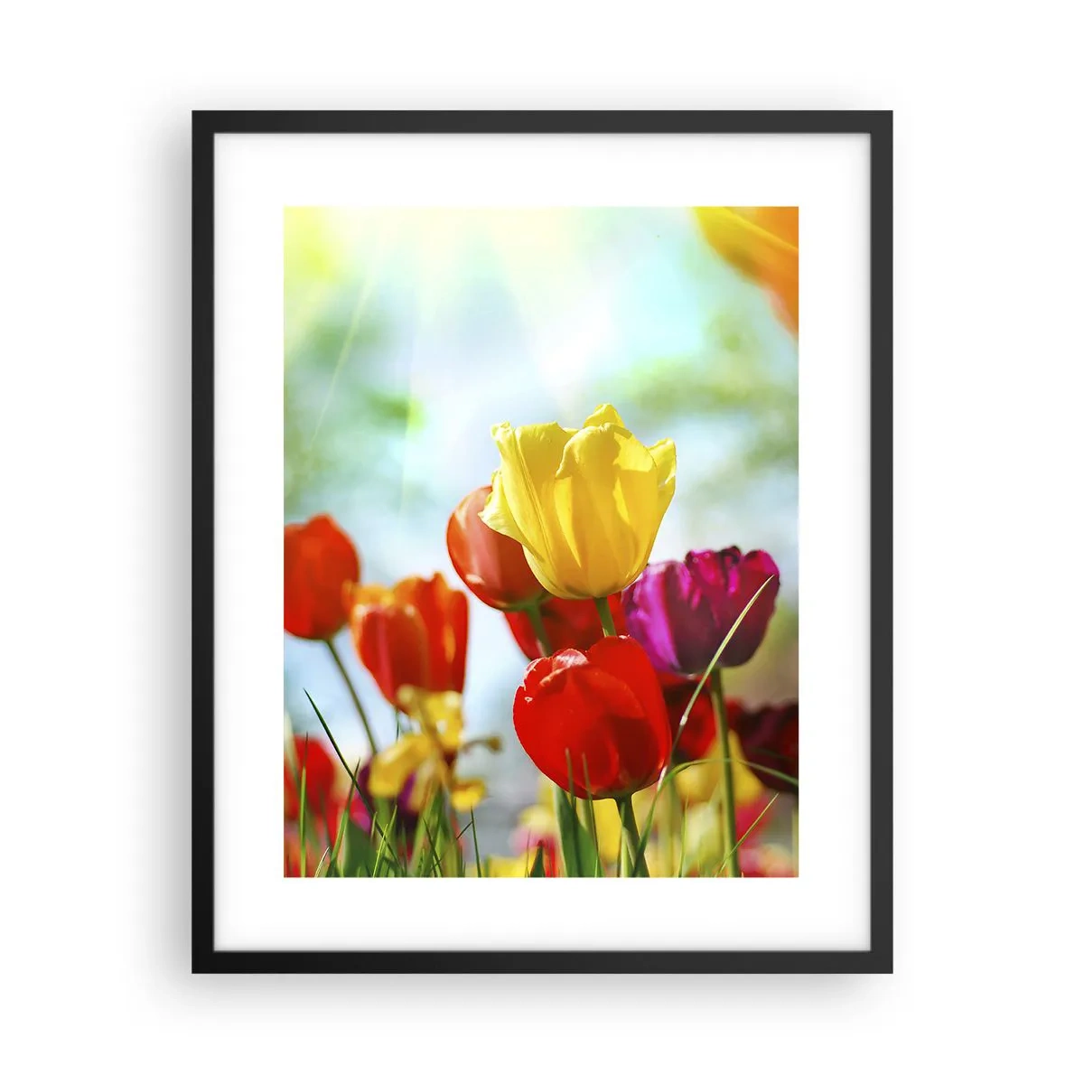 Affiche dans un cadre noir - Poster - Toutes les couleurs du soleil - 40x50 cm
