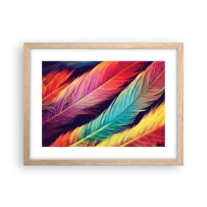 Affiche dans un chêne clair - Poster - Arc-en-ciel de plumes - 40x30 cm
