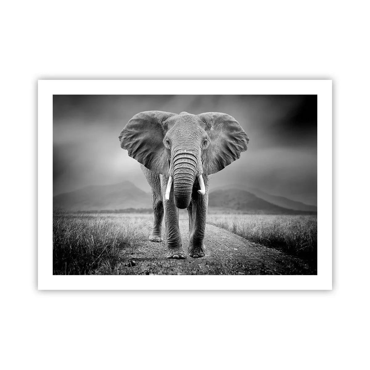 Affiche - Poster - Les hôtes vous saluent - 70x50 cm