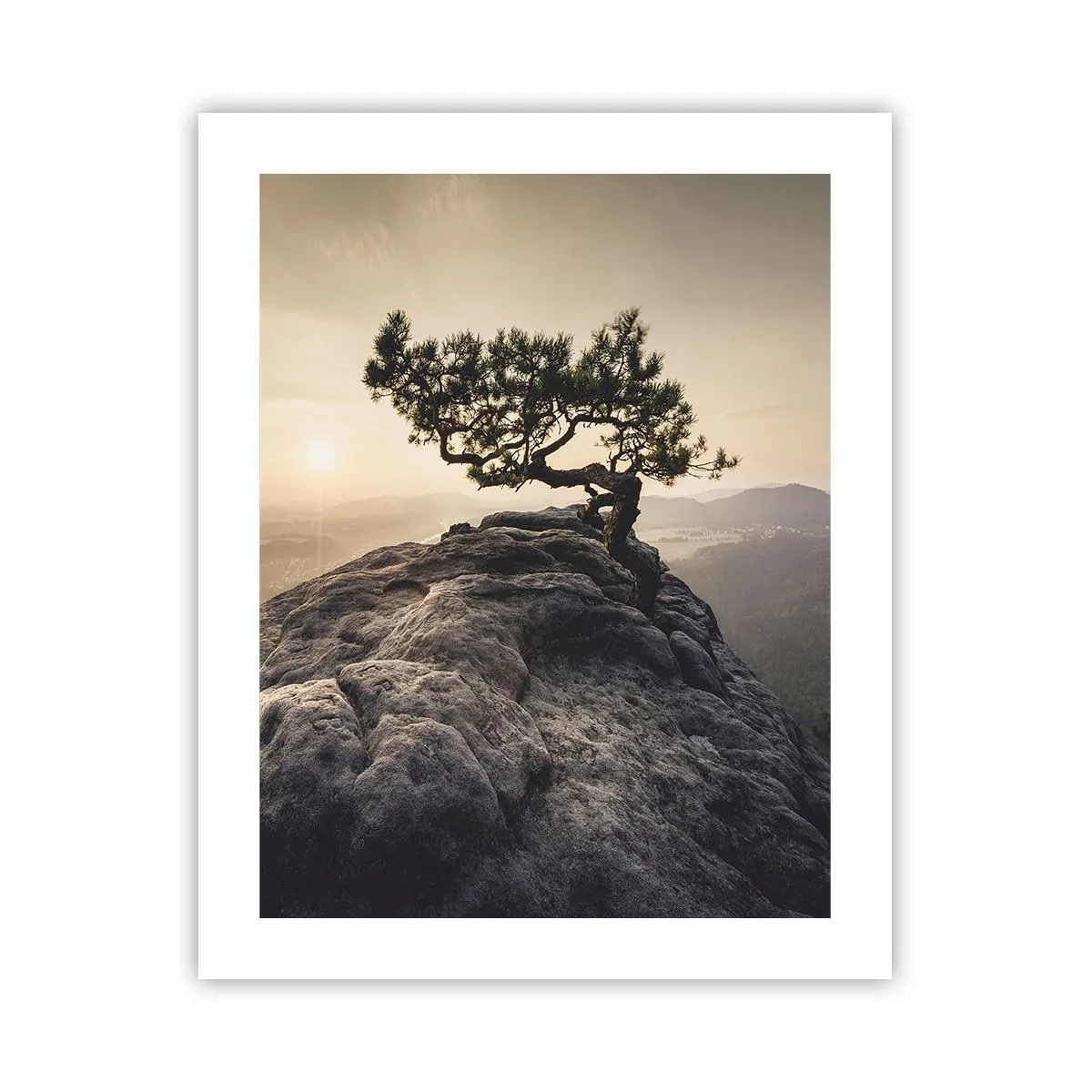Affiche - Poster - La vie gagne toujours - 40x50 cm