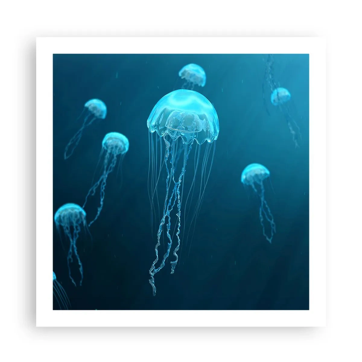 Affiche - Poster - Danse océanique - 60x60 cm