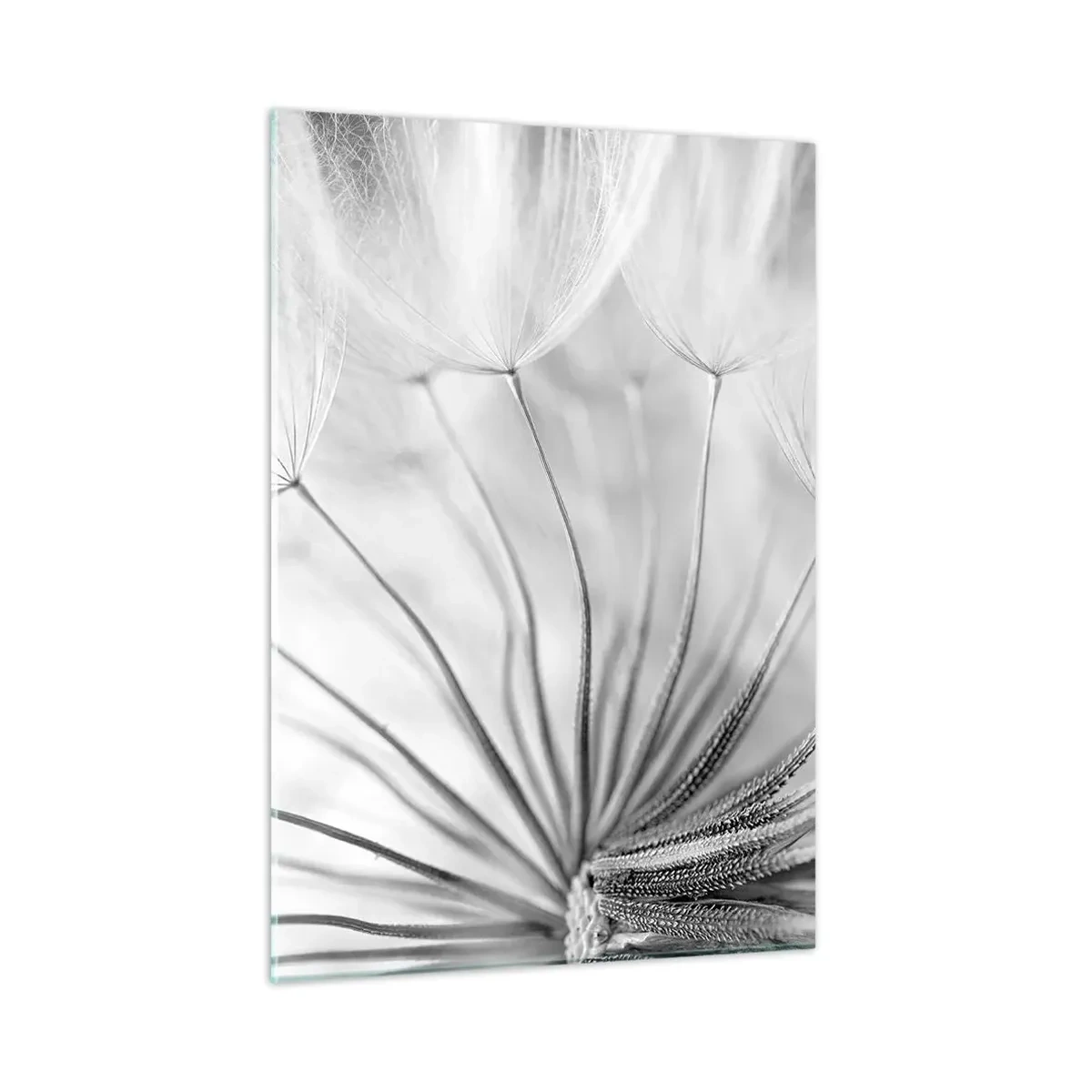 Impression sur verre - Image sur verre - Photographie macro d'un pissenlit dans des tons de noir et blanc - 50x70cm - Aigrette avant son envol - Décoration murale moderne pour le salon et la chambre ARTTOR