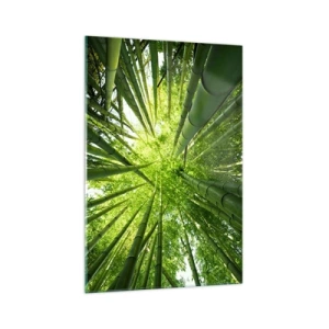 Impression sur verre - Image sur verre - Vue à travers une bambouseraie verte - 70x100cm - Dans une bambouseraie - Décoration murale moderne pour le salon et la chambre ARTTOR