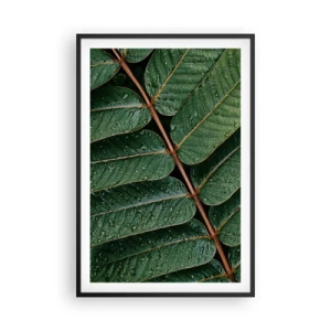 Affiche dans un cadre noir - Poster - Au rythme de la verdure - 61x91 cm