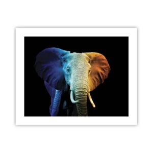 Affiche - Poster - Excentrique, pas bizarre - 50x40 cm