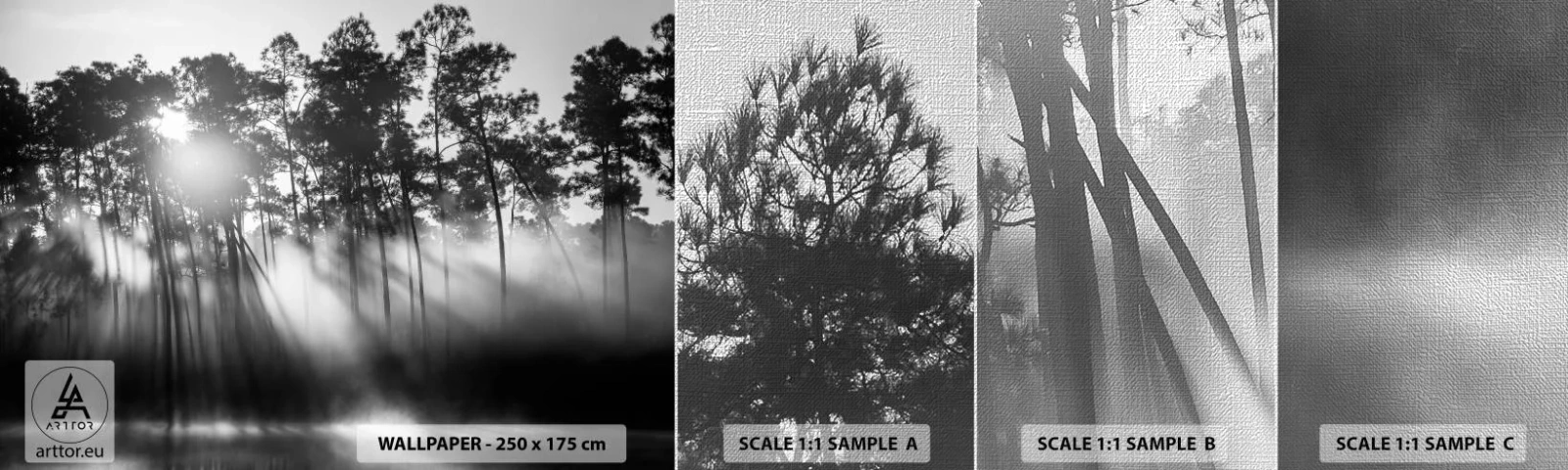 Échantillon de Papier Peint Premium Canvas - Soleil inarrêtable - Paysage, Forêt, Nature - 100x30 cm