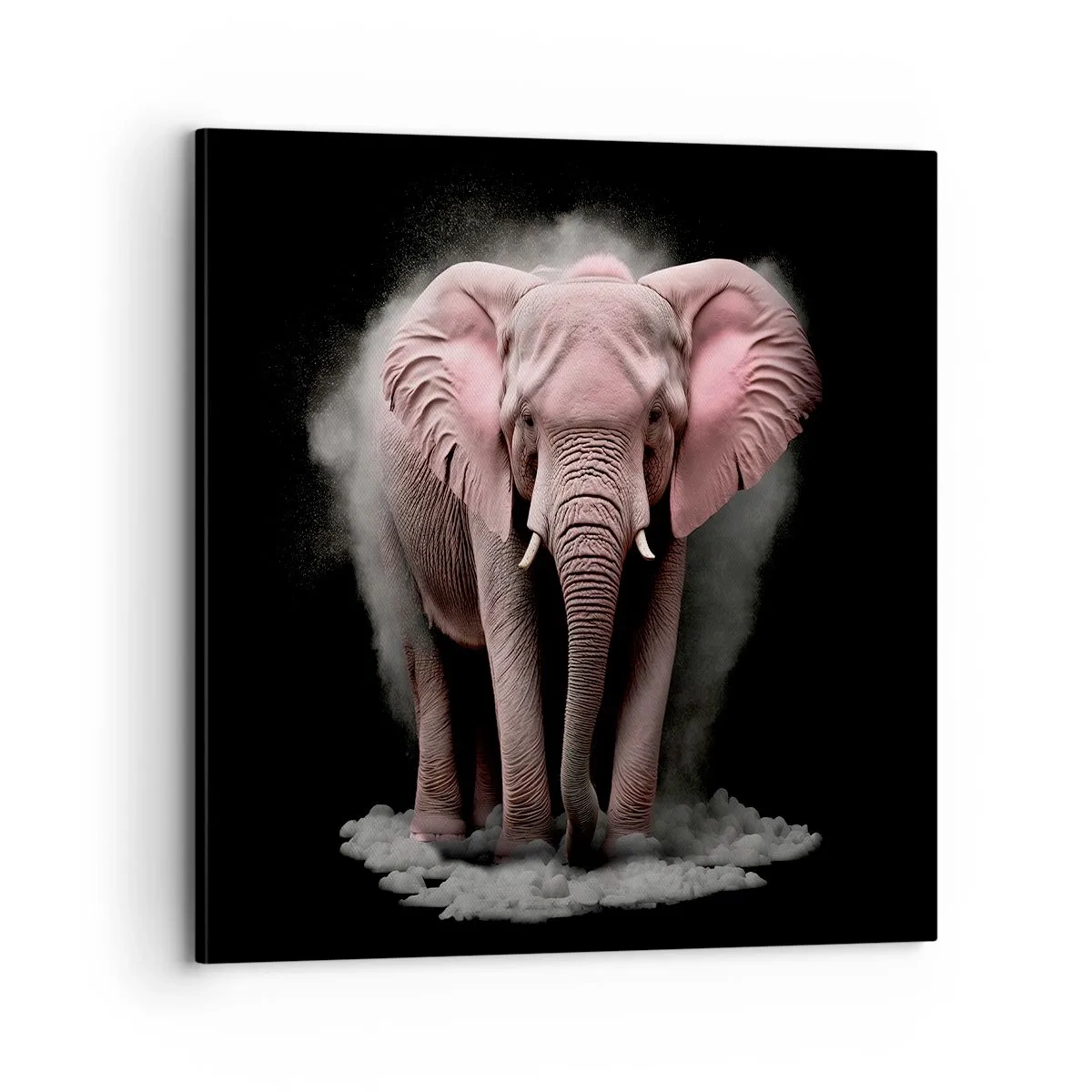 Impression sur toile - Image sur toile - Ne pensez pas à un éléphant rose ! - 70x70 cm