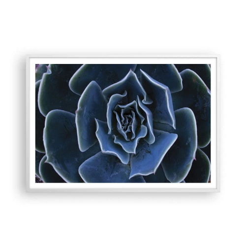 Affiche dans un cadre blanc - Poster - Fleur du désert - 100x70 cm