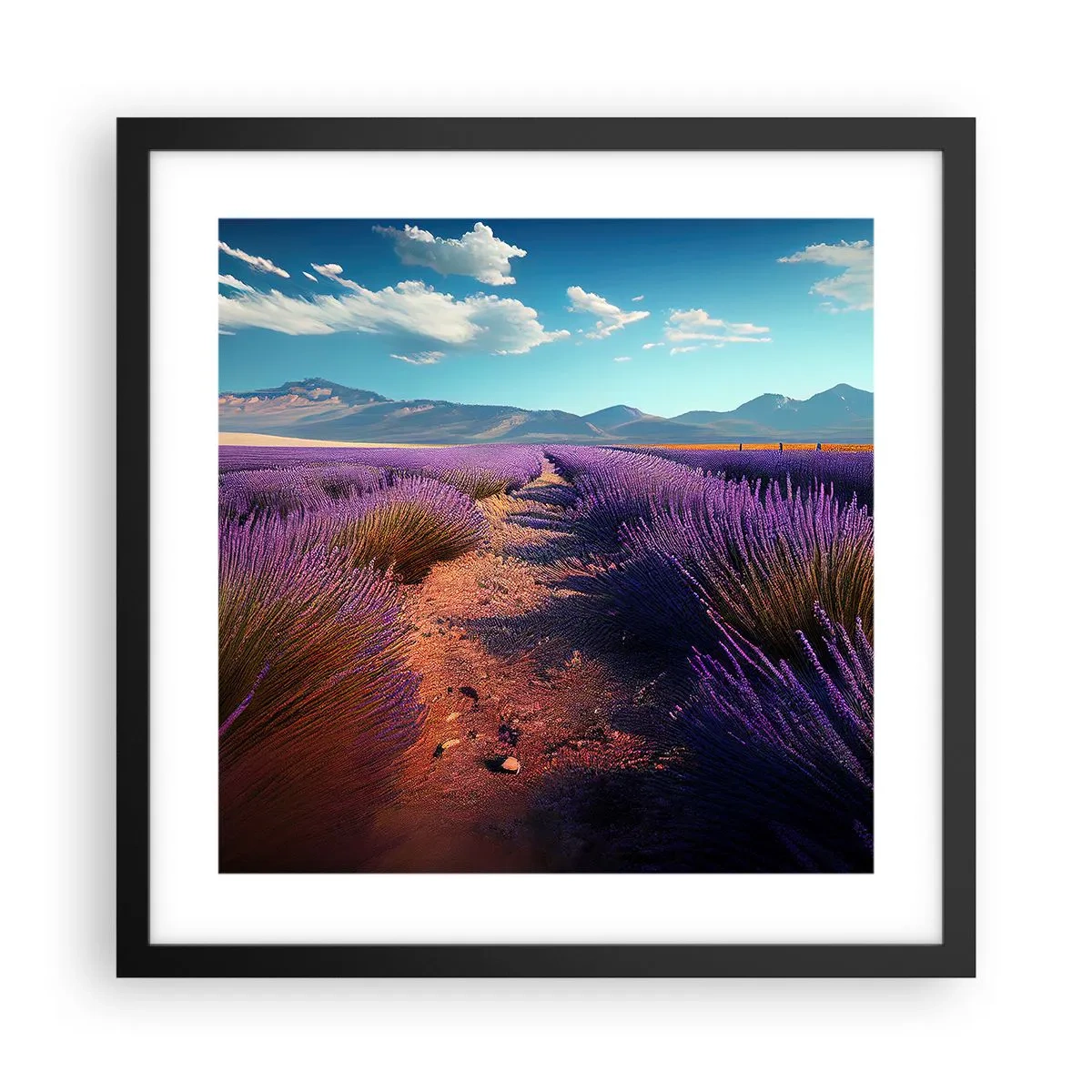 Affiche dans un cadre noir - Poster - Champs parfumés - 40x40 cm