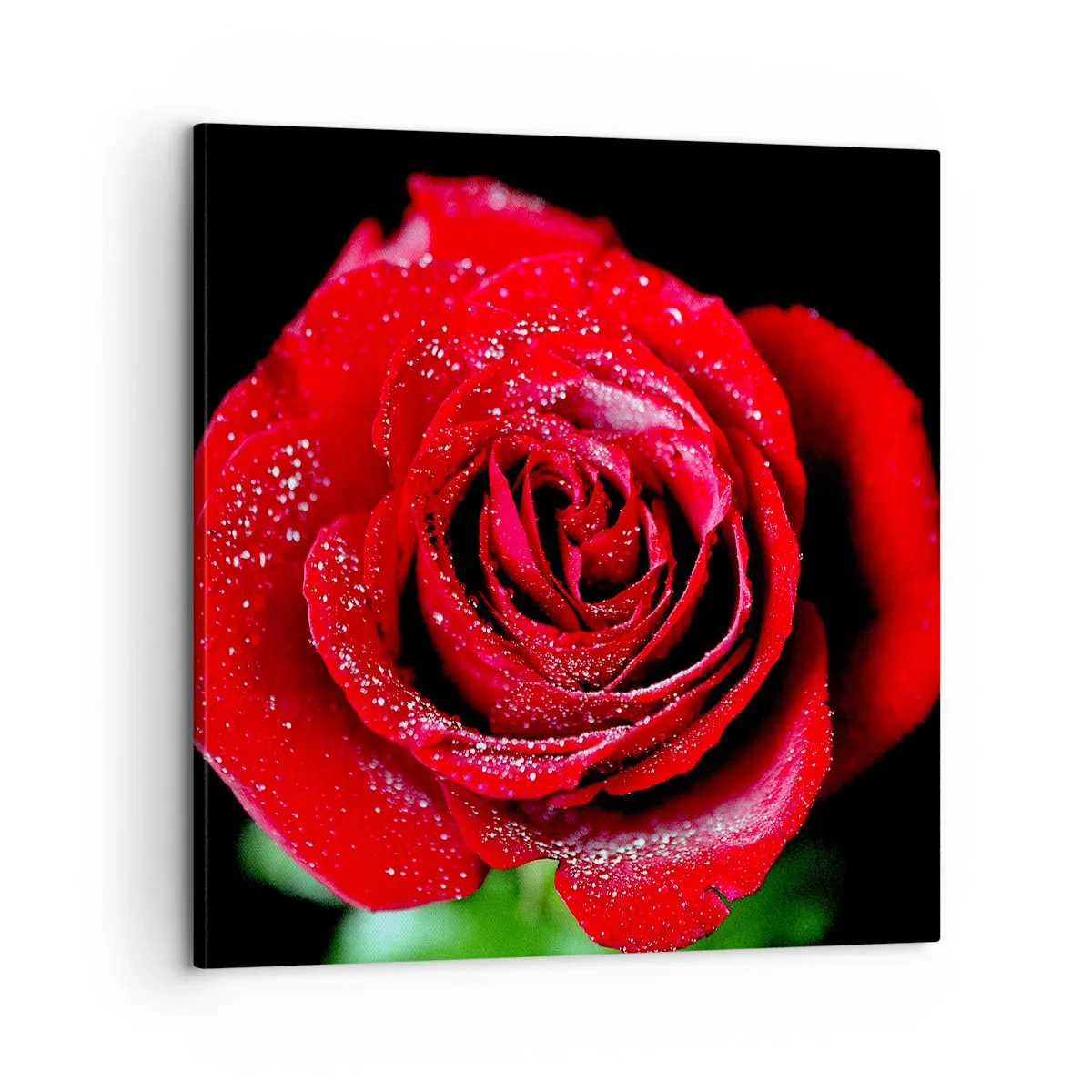 Impression sur toile - Image sur toile - C'est ça l'amour - 60x60 cm