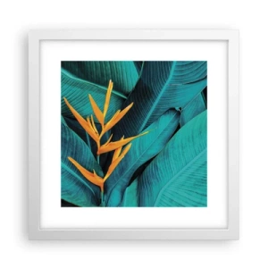 Affiche dans un cadre blanc - Poster - Fleur d'Eden - 30x30 cm