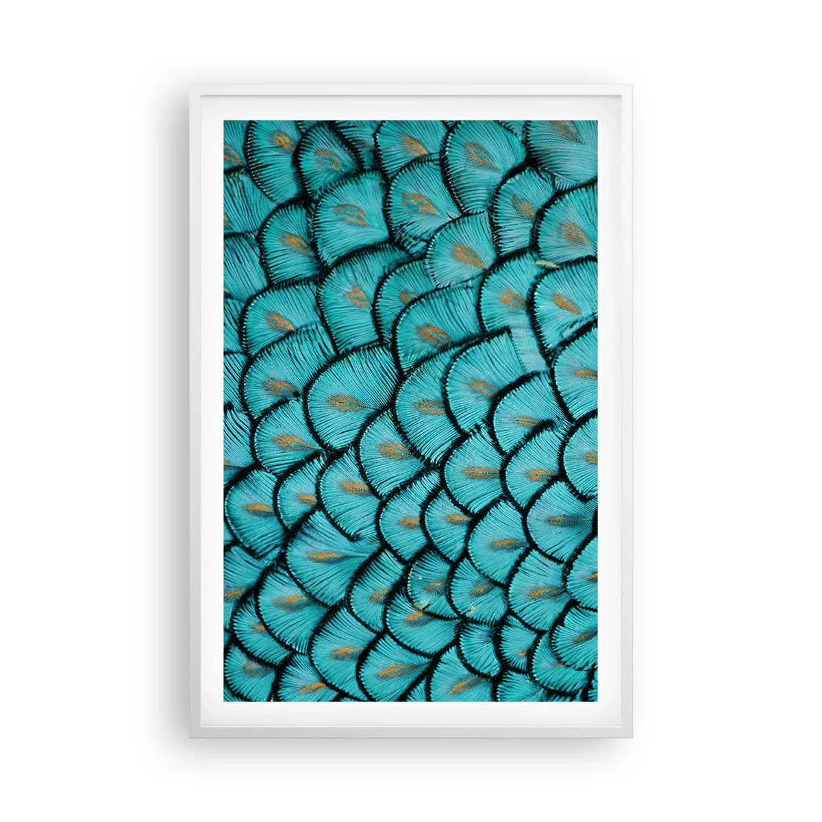 Affiche dans un cadre blanc - Poster - Le grand gala des plumes - 61x91 cm