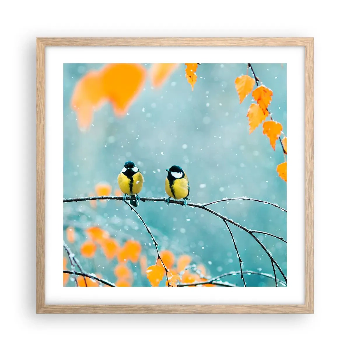 Affiche dans un chêne clair - Poster - Potins d'oiseaux - 50x50 cm