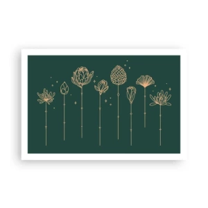 Affiche - Poster - La famille Plante - 91x61 cm