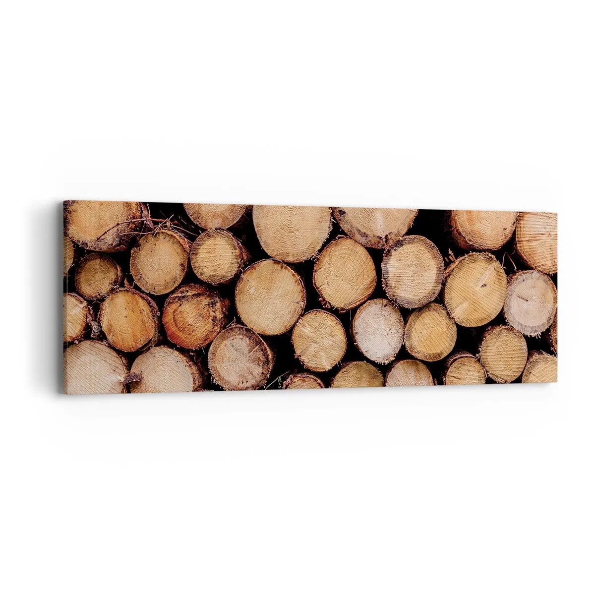 Impression sur toile - Image sur toile - Nouveau commencement - 90x30 cm