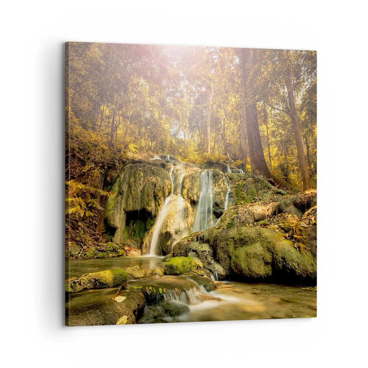 Impression sur toile - Image sur toile - Cascade de forêt en vert - 60x60 cm