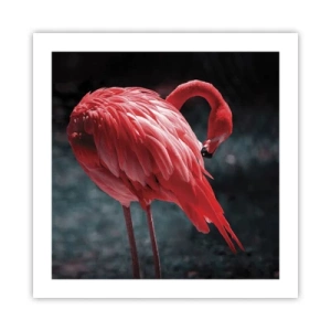 Affiche - Poster - Poème cramoisi de la nature - 50x50 cm