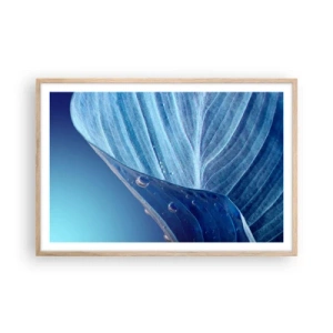Affiche dans un chêne clair - Poster - Gouttes cachées du bleu - 91x61 cm