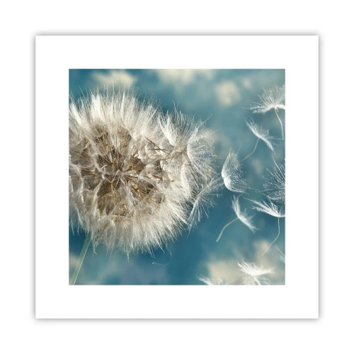 Affiche - Poster - souffle d'ange - 30x30 cm